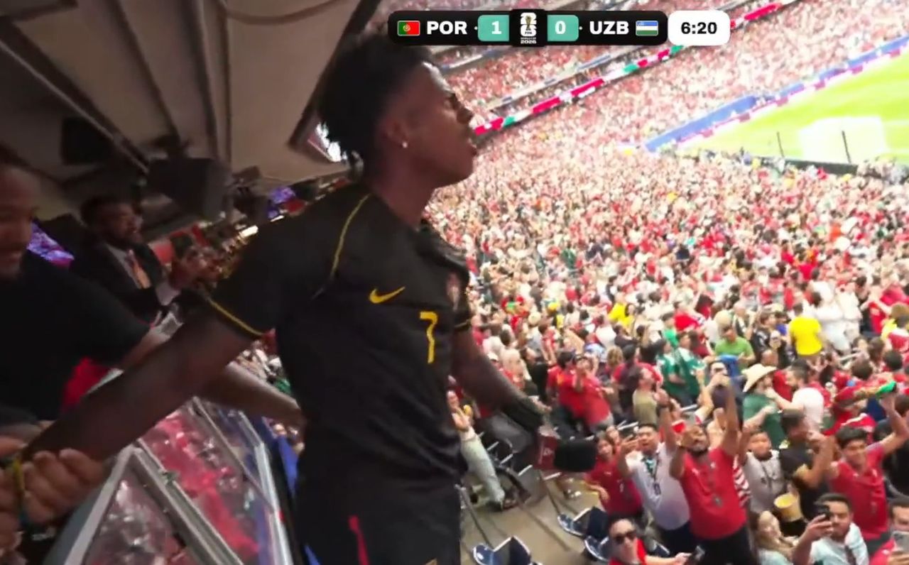Zwariował po golu Ronaldo. Nagle przeskoczył przez barierkę