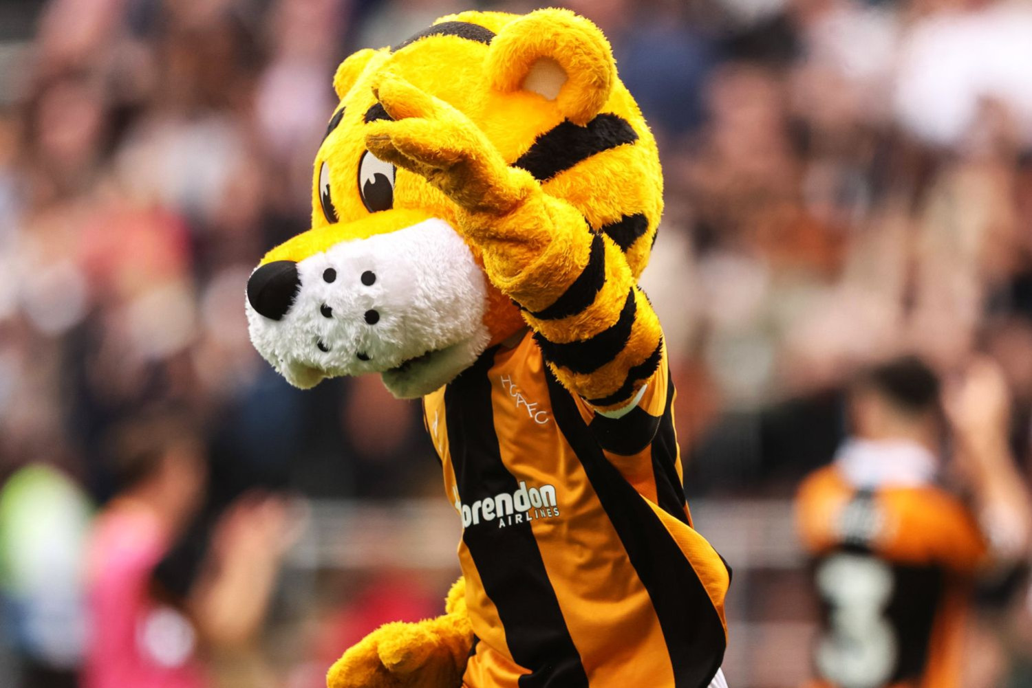 Raz i dwa! Hull City finalizuje transfery za łącznie ponad 50 milionów euro