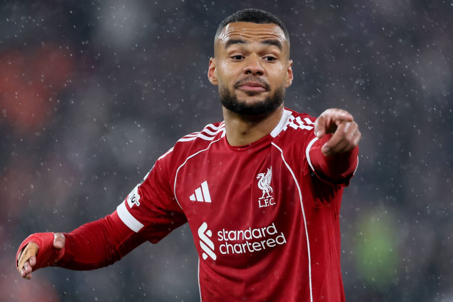 Nie tylko Tottenham! Gigant wkracza do walki o Cody'ego Gakpo