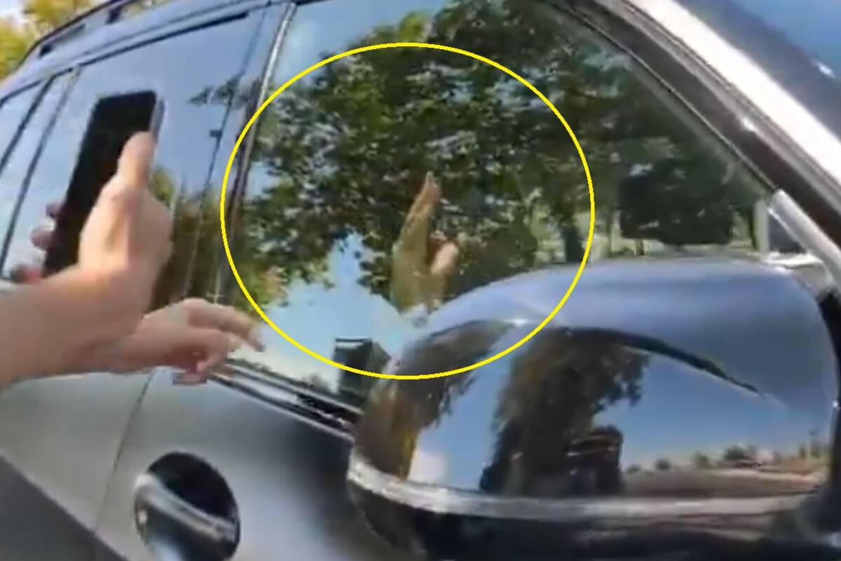 Kibice poprosili Viniego, żeby został w Realu. Tak zareagował [WIDEO]