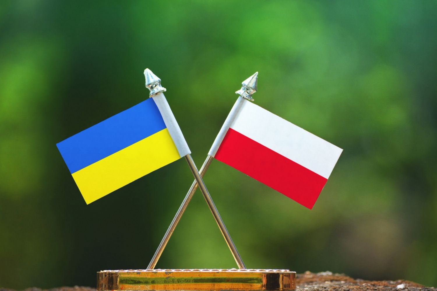Mistrzostwa Świata w Polsce i Ukrainie? Sprzeczne stanowiska ministrów