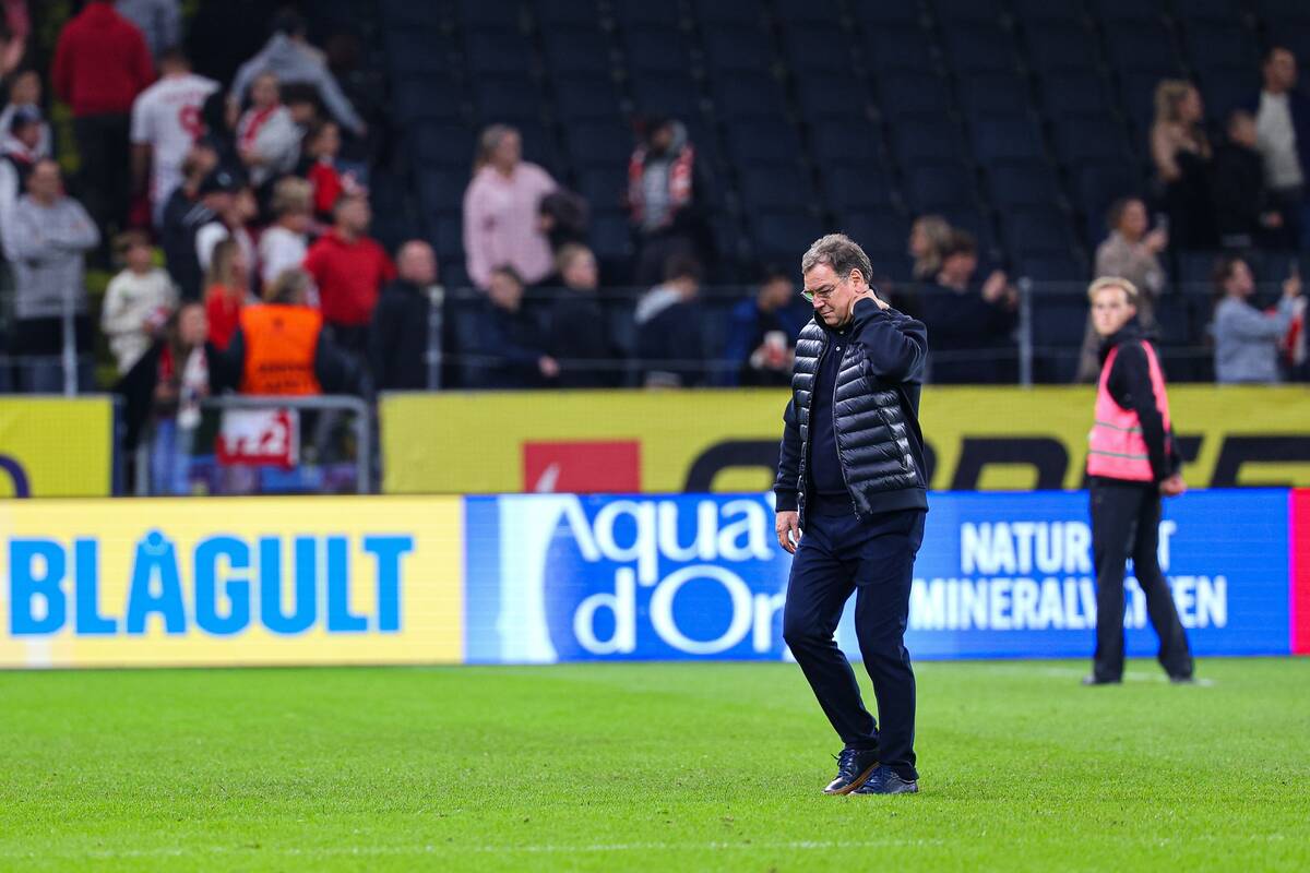 Urban bez ogródek o reprezentacji. 